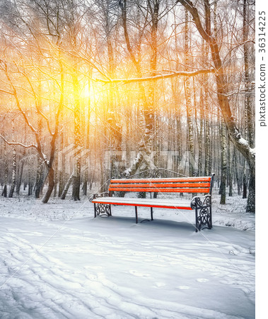 Park bench and trees covered by heavy snow Park bench and trees covered by heavy snow 36314225