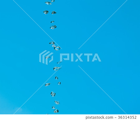 Air bubble 36314352