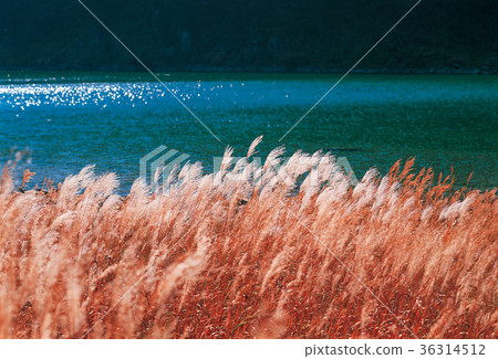 Youngchun, Chungbuk 36314512