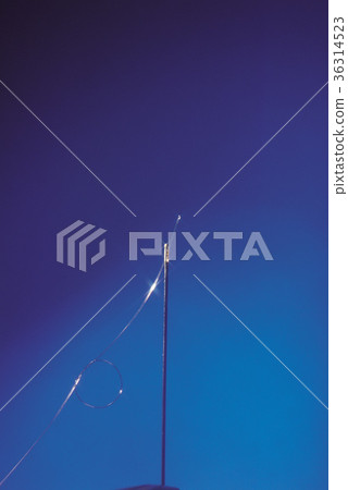 針，光纜 36314523