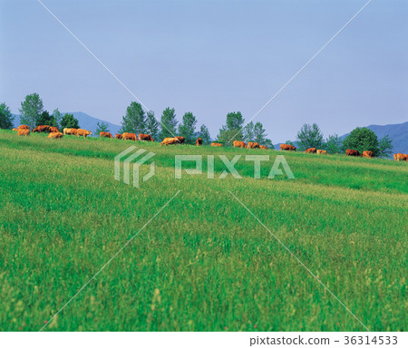 Unbong, Namwon City, Jeonbuk Province 36314533