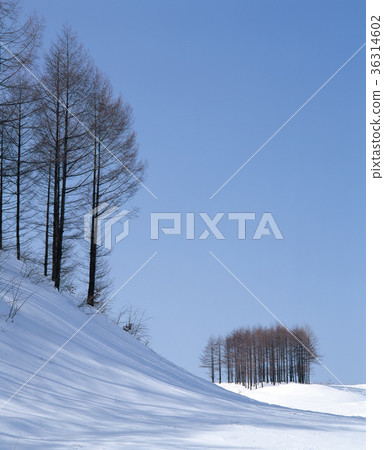 Hokkaido, Japan 36314602