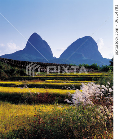 全北省濟南縣麥山 36314793