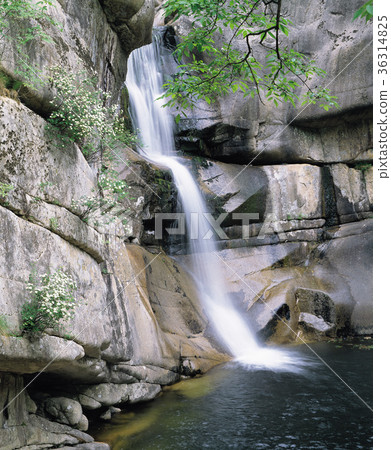 Yongchu Waterfall, Duta Mountain, Donghae City, Gangwon Province 36314825