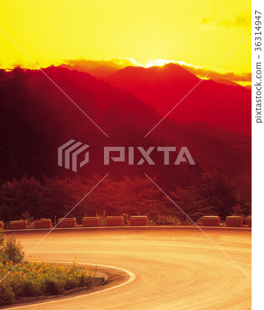 Road, sunrise, tree 36314947
