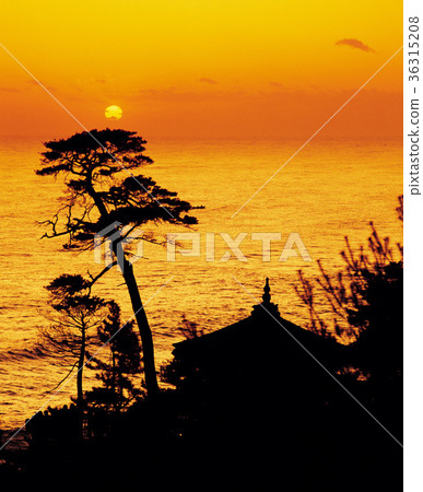 Wonsan University (Historic Site No. 495), Yangyang-gun, Gangwon-do Wonsan University (Historic Site No. 495), Yangyang-gun, Gangwon-do 36315208