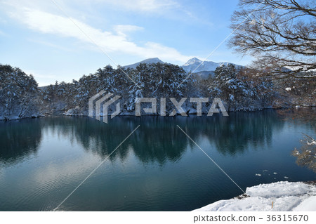 Bishamon Swamp 36315670