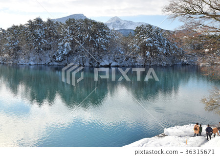 Late autumn Goshikinuma 36315671