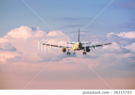 在日落天空的班機飛行 36315783