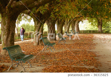 Parque da Alameda - Santiago de Compostela Parque da Alameda - Santiago de Compostela 36315825