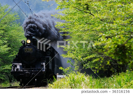 Fresh green and SL Fresh green and SL 36316156