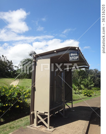 Mauritius bus stop part 2 36316203