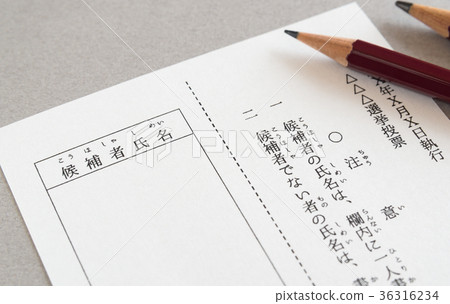 選舉投票 36316234