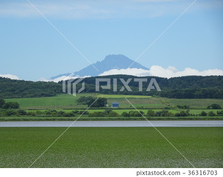 Rishiri Fuji in the other side of Kakinuma Rishiri Fuji in the other side of Kakinuma 36316703