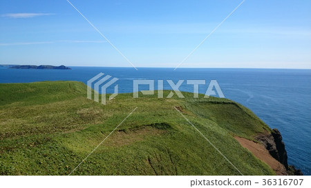 從驢翼到藍海 從驢翼到藍海 36316707