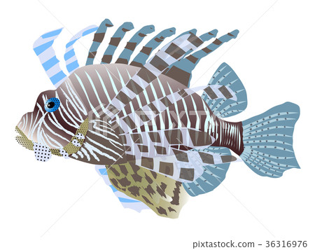 Hanamidokashigo 36316976