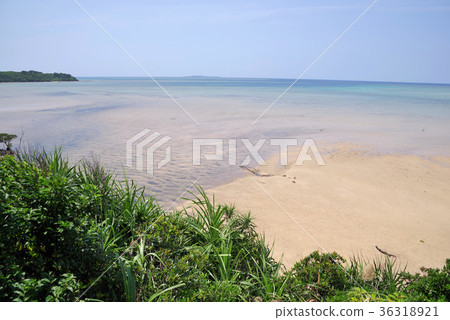 The coast of Iriomote Island Omi-Sai Road Park The coast of Iriomote Island Omi-Sai Road Park 36318921