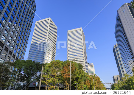 大阪商業園 36321644