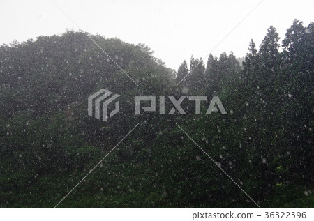 游擊隊大雨 游擊隊大雨 36322396