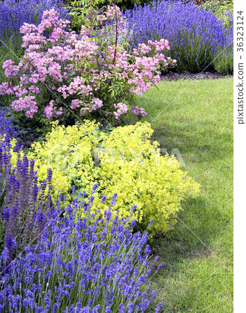 Beautiful garden in spring. 36323124