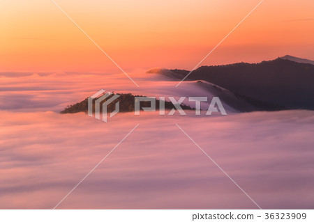 Phu Chi Fa Chiang Rai north, of thailand Phu Chi Fa Chiang Rai north, of thailand 36323909