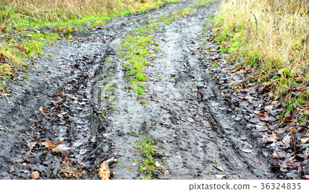 Autumn dirty rural road. 36324835