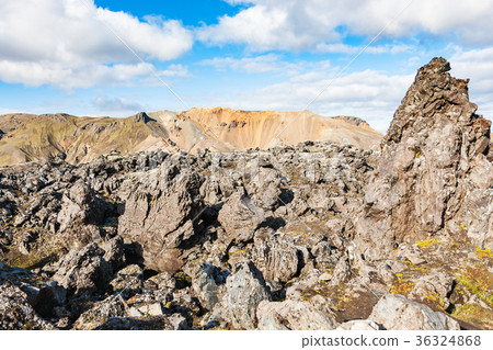 old Laugahraun volcanic lava field in Iceland 36324868