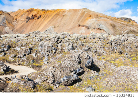 path to Laugahraun volcanic lava field in Iceland 36324935