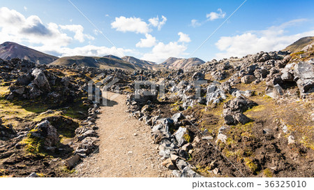 way at Laugahraun volcanic lava field in Iceland 36325010