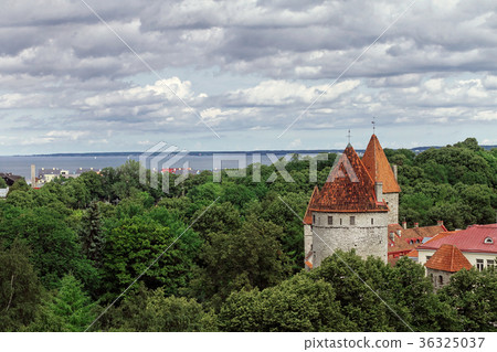 Tallinn city wall 36325037