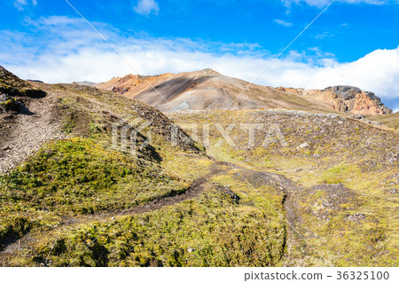 trails in Landmannalaugar in Iceland 36325100