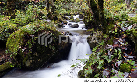 Utsugawa Yotsukura Falls 36326706