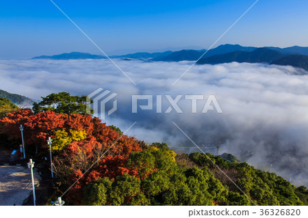 View of the sea of clouds from Mt. Inasa View of the sea of clouds from Mt. Inasa 36326820