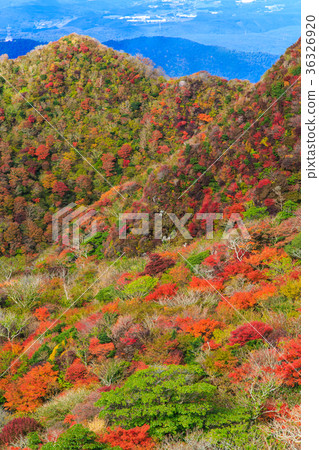 Autumn leaves from Unzen Fugendake 36326920