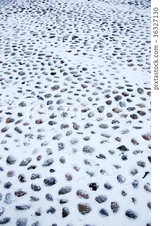 雪鵝卵石 雪鵝卵石 36327130