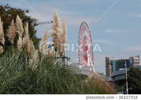 Scenery of autumn Koto-ku Aomi 36327358
