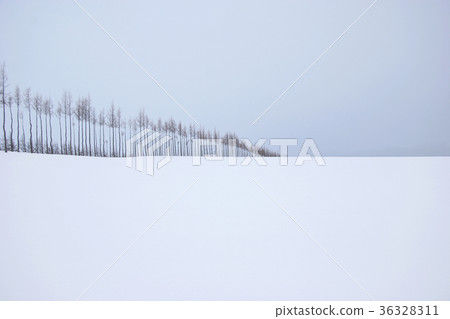 雪景 36328311