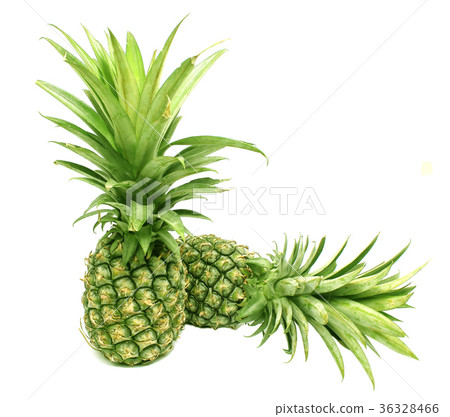 fresh pineapple on white background fresh pineapple on white background 36328466