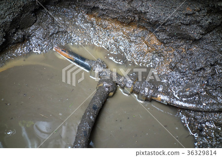 Old water pipe leaked 36329814