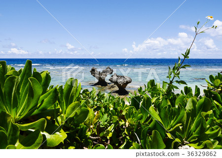 Okinawa Okinawa 36329862