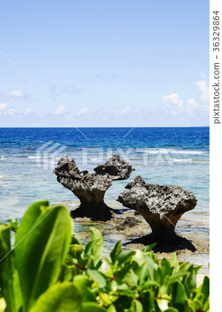 沖繩島 沖繩島 36329864