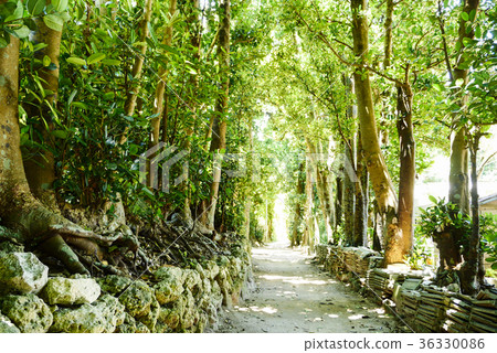Okinawa Okinawa 36330086