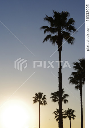 Urban oasis southern country style 36332005