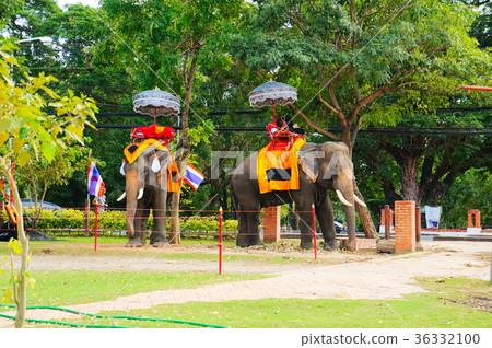 Wat Phra Sang寵物 36332100