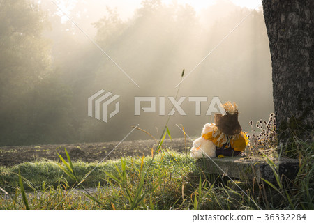 Teddy bear and a scarecrow embraced 36332284