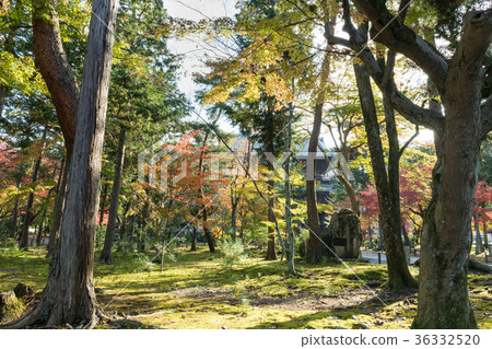 南禪寺 南禪寺 36332520