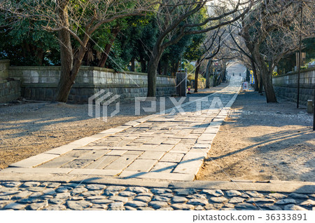 伊諾島路 伊諾島路 36333891