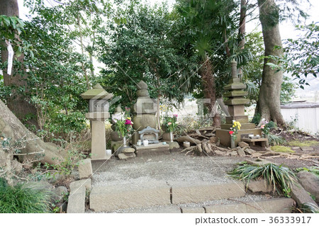 Genomi Asuka (Ashino City, Kanagawa Prefecture) 36333917