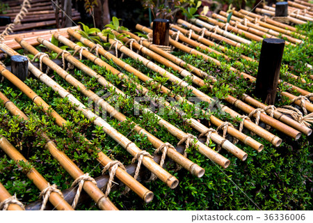 冬季圈地 36336006