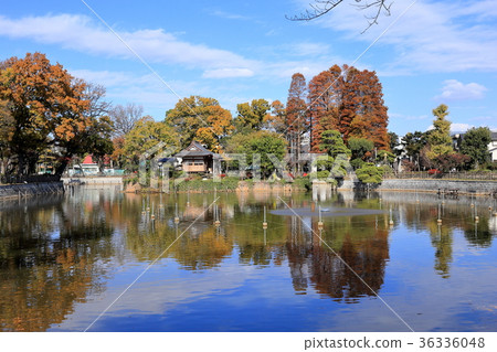 風景Meguro-ku Himonya公園 36336048